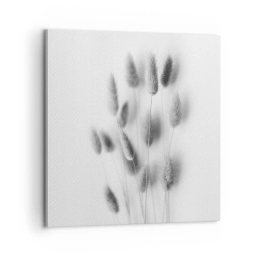 Impression sur toile - Image sur toile - Son herbe duveteuse - 60x60 cm