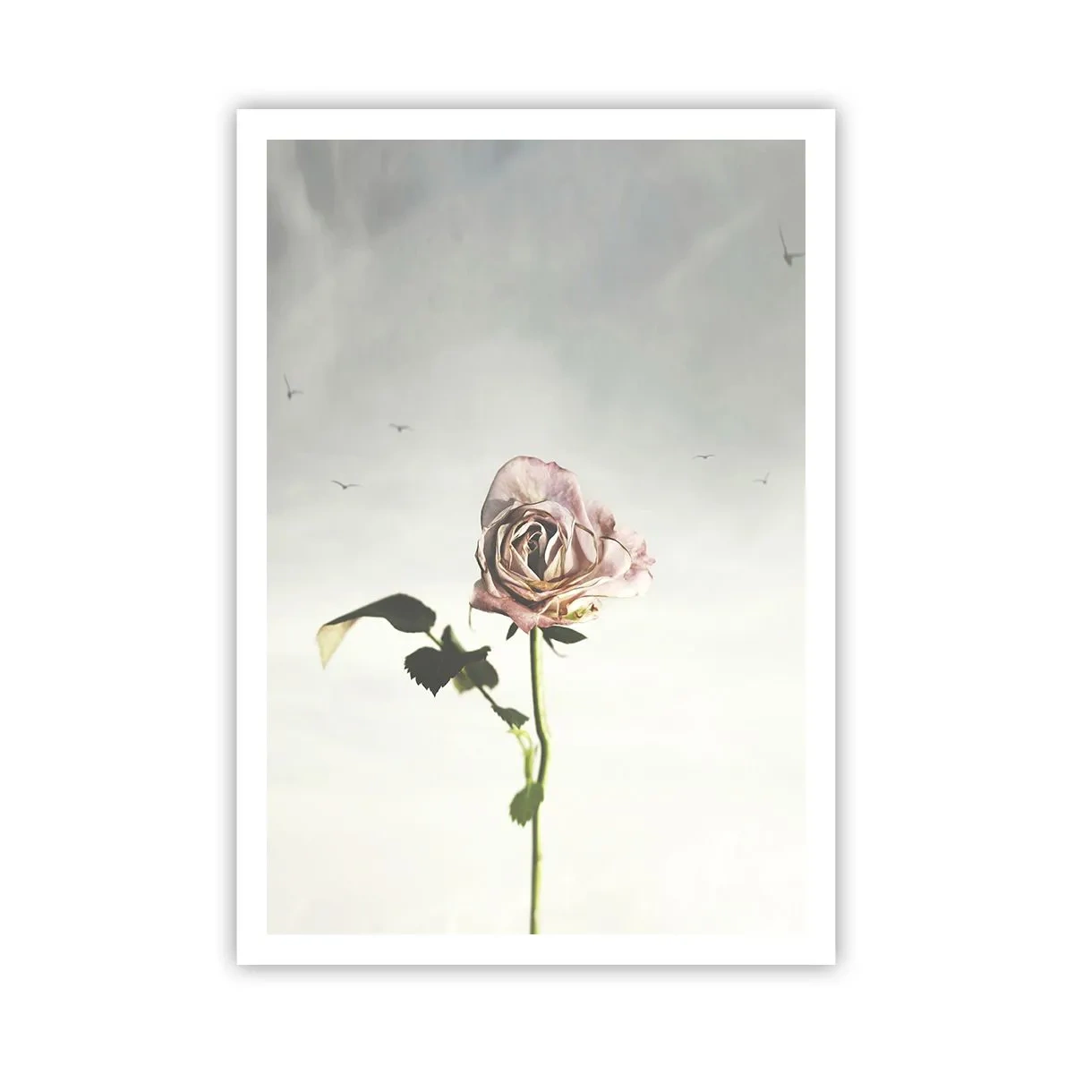 Affiche - Poster - Bonjour de printemps - 70x100 cm