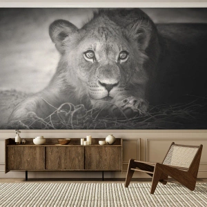 Papier Peint Autocollant Deluxe Sticker - Chiot royal - Animaux, Lion, Noir et blanc - 400x280 cm