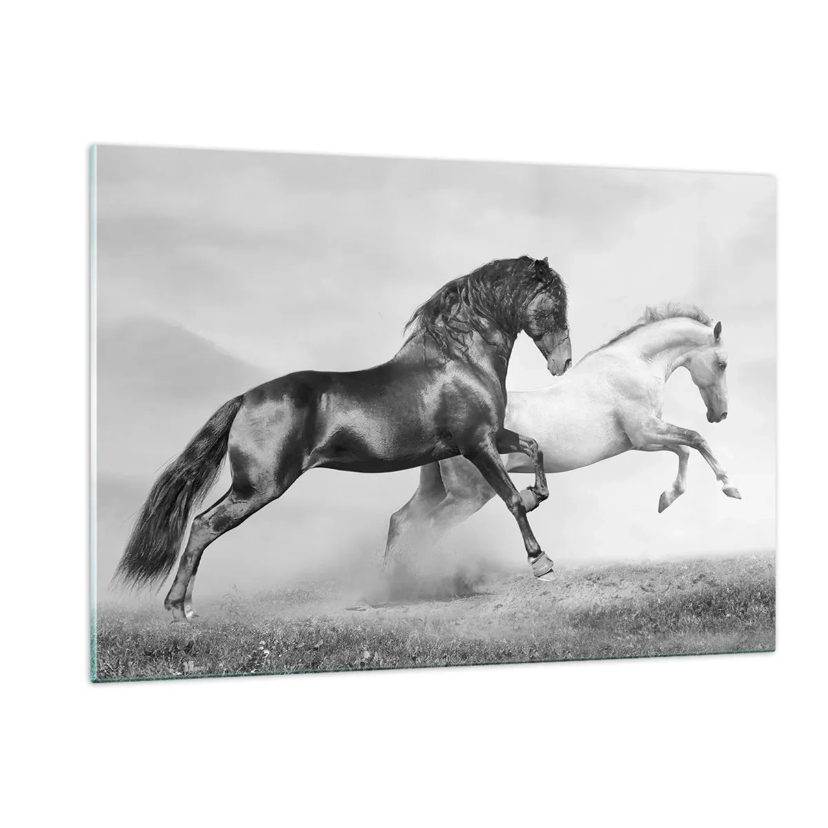 Impression sur verre - Image sur verre - Chevaux noirs et blancs dans un cadre dynamique - 120x80cm - Anges et démons - Décoration murale moderne pour le salon et la chambre ARTTOR