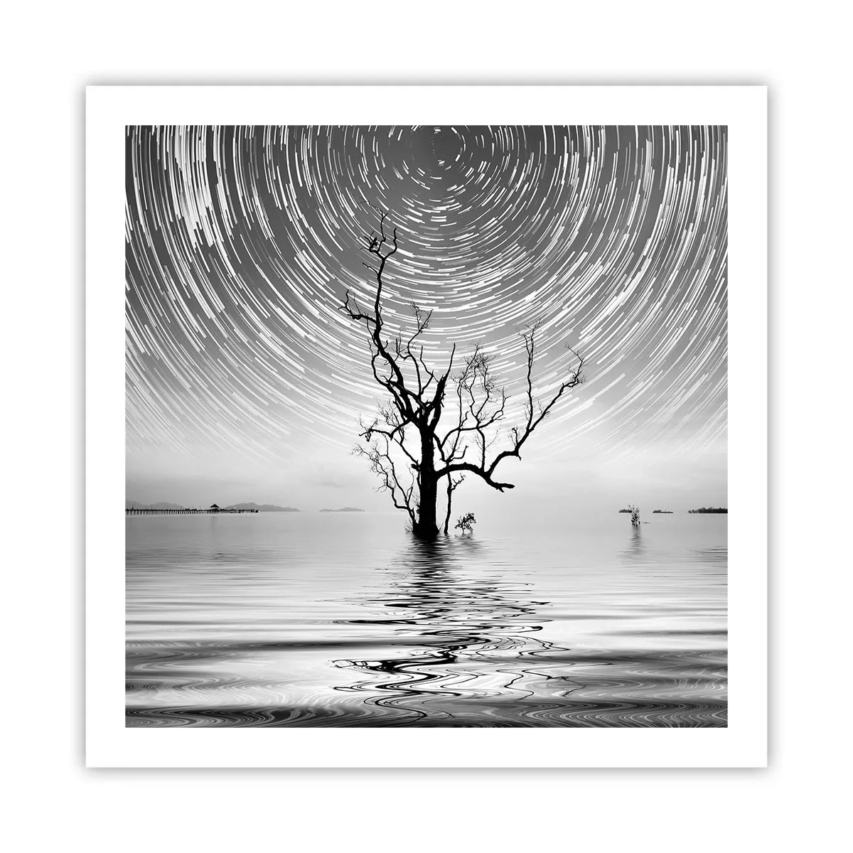 Affiche - Poster - La symphonie de la nature - 60x60 cm