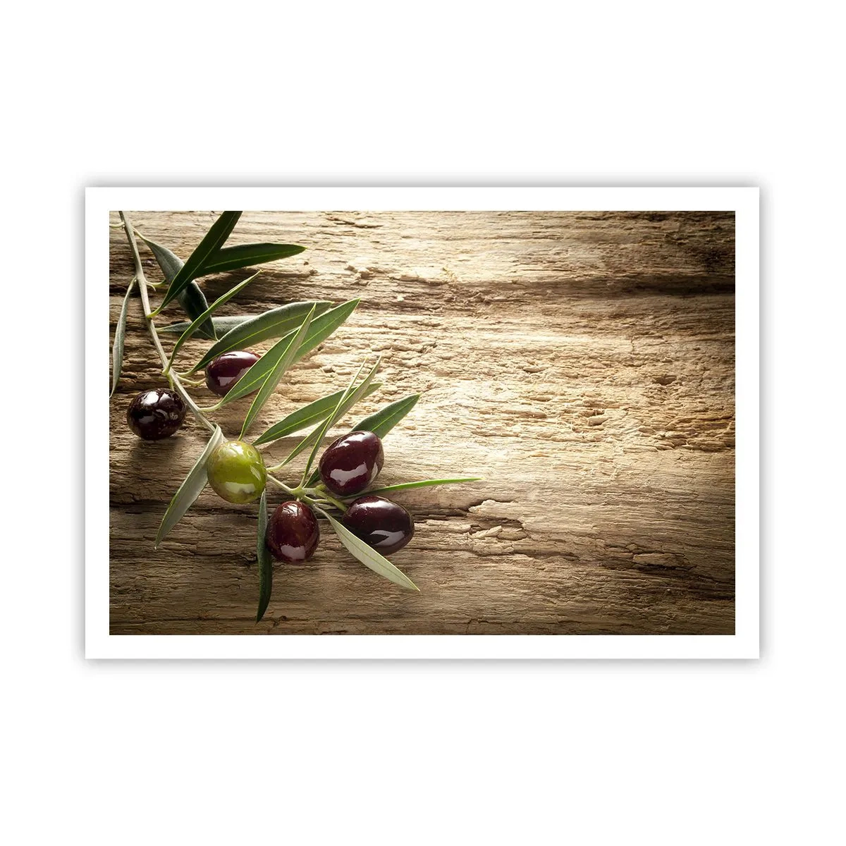 Affiche - Poster - Branche d'olivier avec des fruits sur un fond de bois vieilli - 100x70cm - Directement de la nature - Décoration murale moderne pour le salon et la chambre ARTTOR