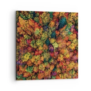 Impression sur toile - Image sur toile - Bouquet d'arbres automnal - 70x70 cm