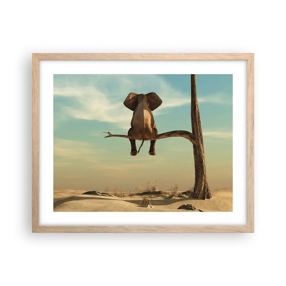 Affiche dans un chêne clair - Poster - Nouveau point de vue - 50x40 cm