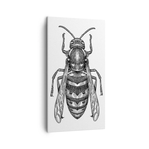 Impression sur toile - Image sur toile - D'une planète d'insectes - 45x80 cm