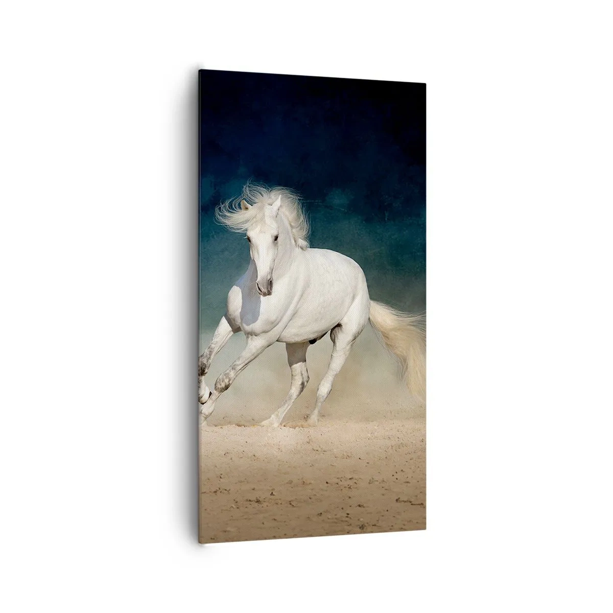 Impression sur toile - Image sur toile - La liberté à l'état pur - 65x120 cm