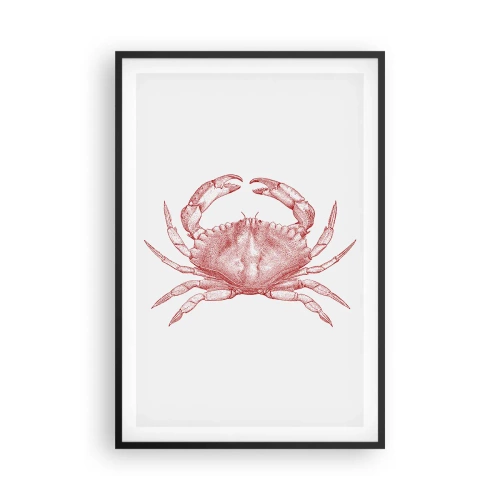 Affiche dans un cadre noir - Poster - Le crabe des crabes - 61x91 cm
