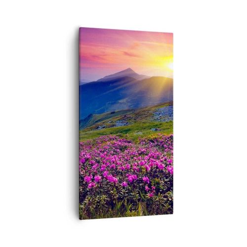 Impression sur toile - Image sur toile - … Et autour, ça sent le pin des montagnes et l'odeur de la prairie - 55x100 cm