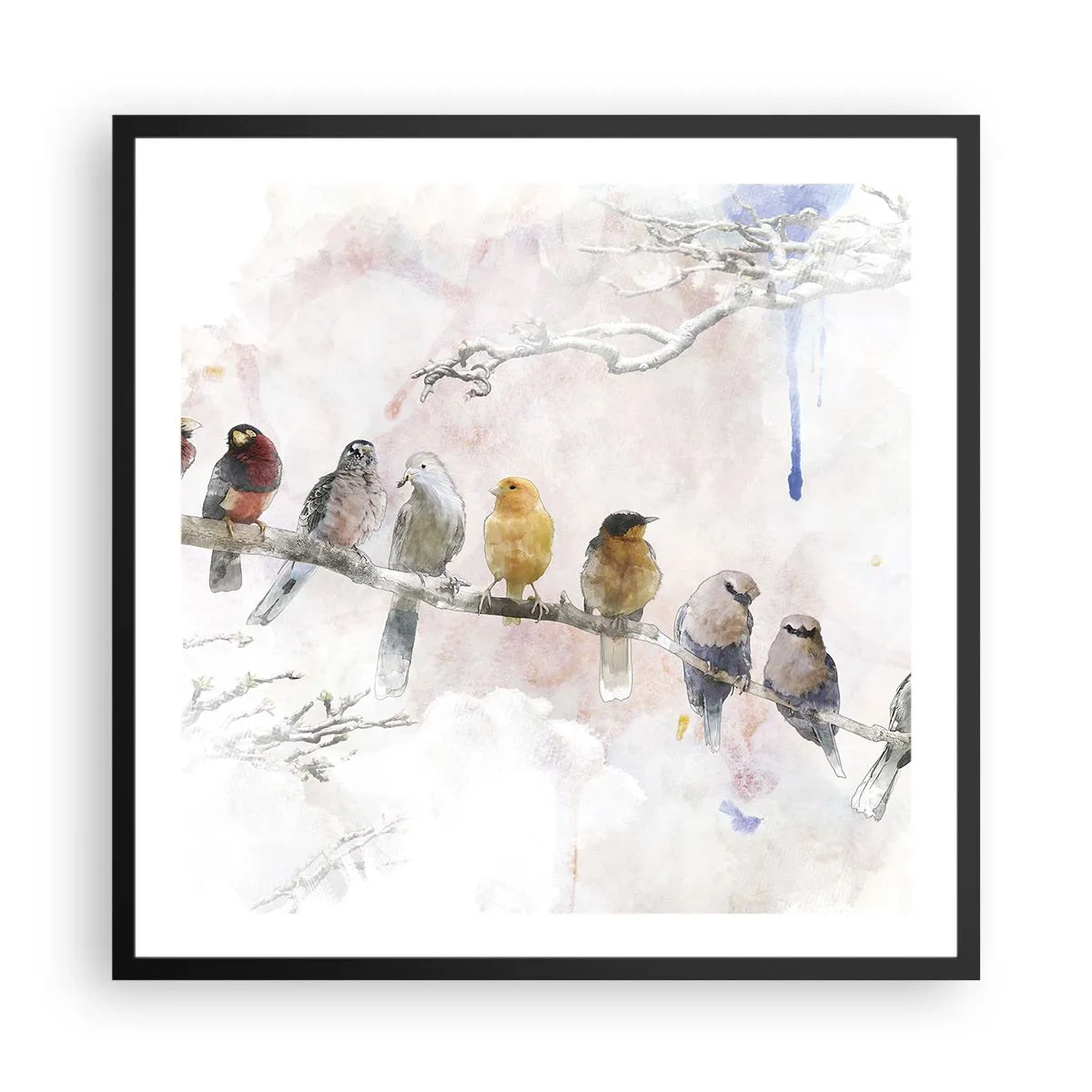 Affiche dans un cadre noir - Poster - Rencontre ailée - 60x60 cm