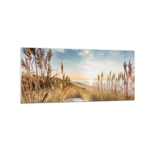 Impression sur verre - Image sur verre - Une plage pittoresque avec de l'herbe et le soleil couchant - 120x50cm - Plage du nord - Décoration murale moderne pour le salon et la chambre ARTTOR