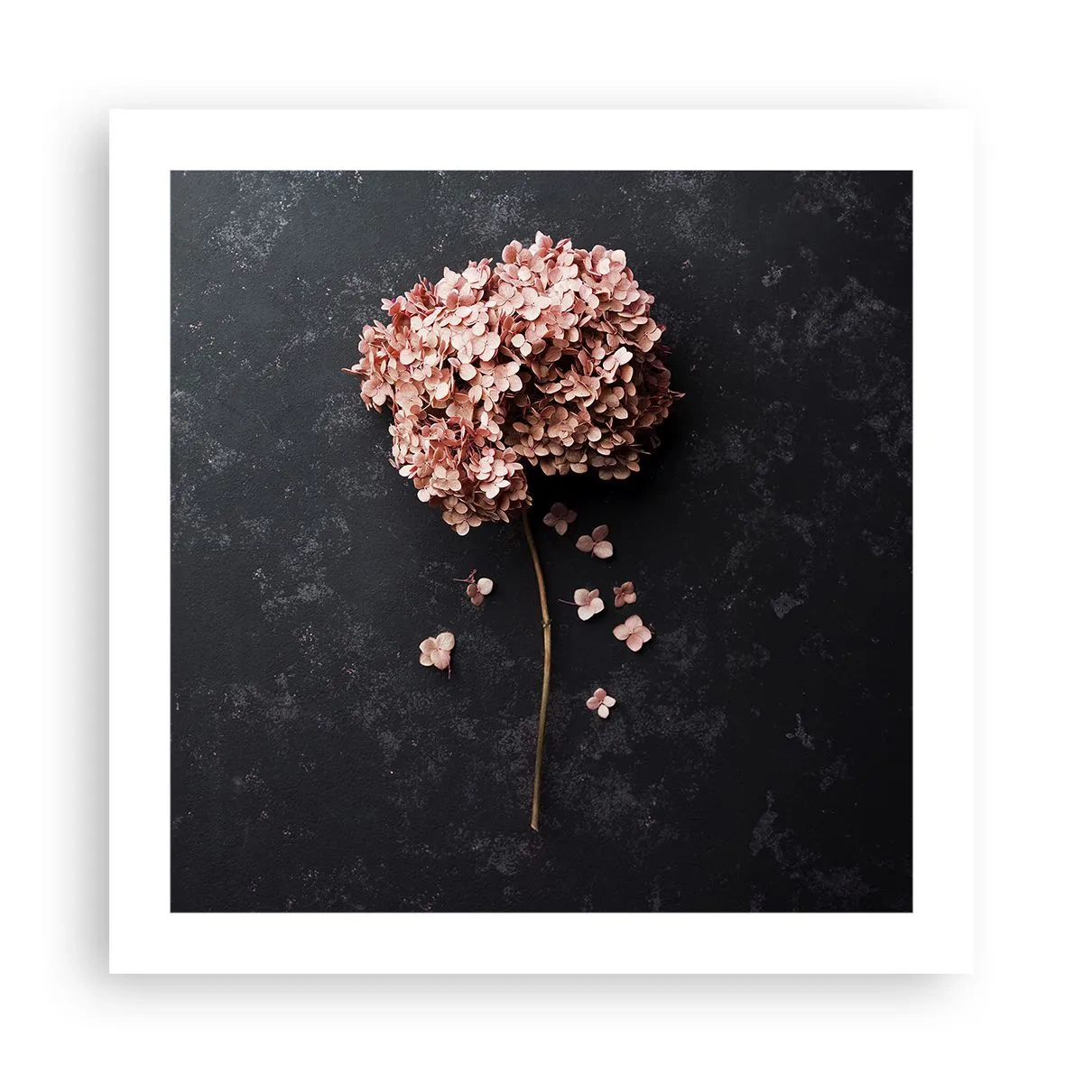 Affiche - Poster - Un signe vraiment romantique - 50x50 cm