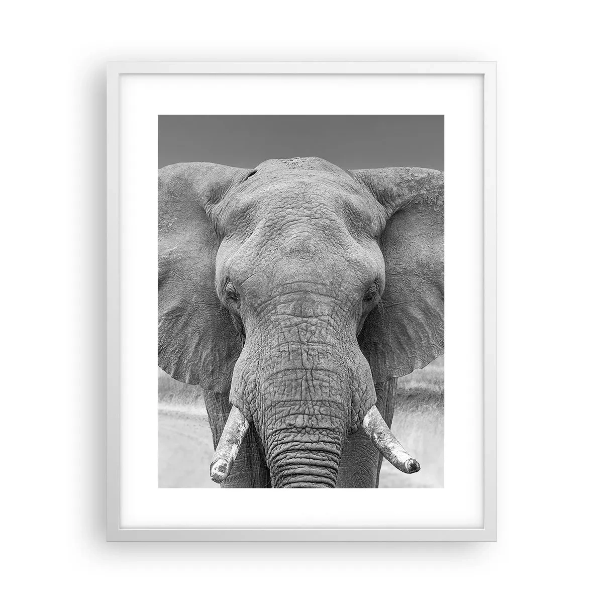 Affiche dans un cadre blanc - Poster - Bienvenue dans mon monde - 40x50 cm