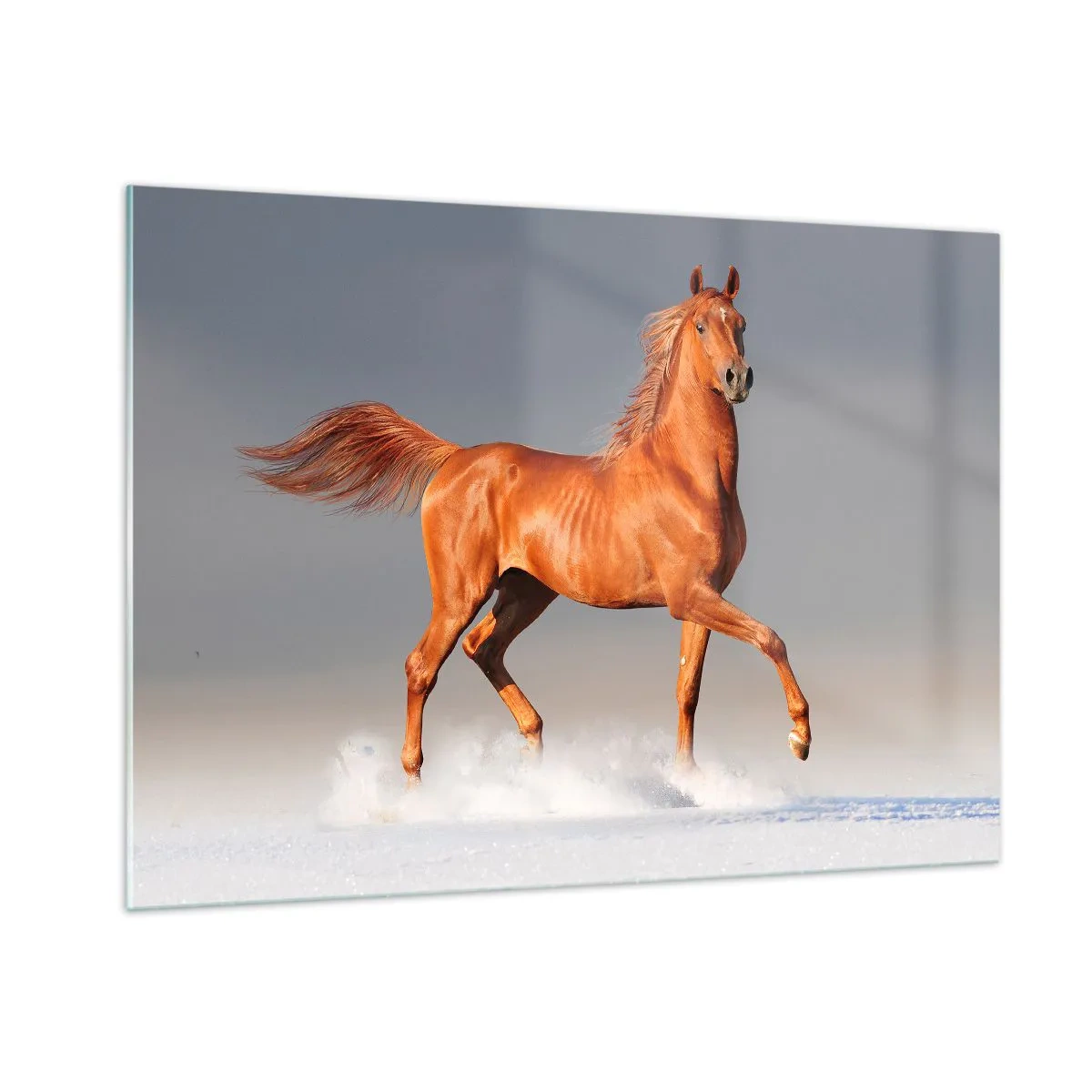 Impression sur verre - Image sur verre - Un cheval au galop contre un ciel lumineux - 100x70cm - La grâce dansante - Décoration murale moderne pour le salon et la chambre ARTTOR