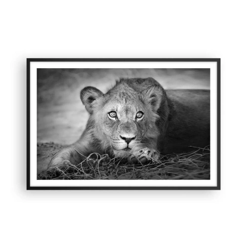 Affiche dans un cadre noir - Poster - Chiot royal - 91x61 cm