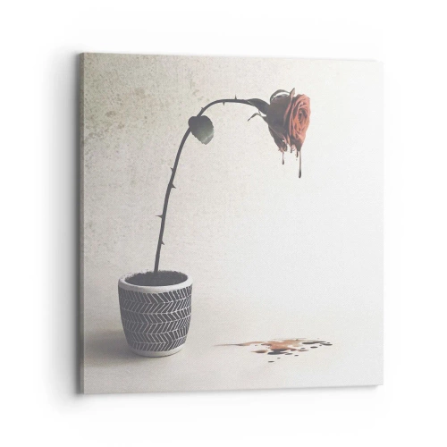 Impression sur toile - Image sur toile - Rosa dolorosa - 70x70 cm