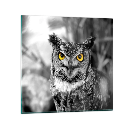 Impression sur verre - Image sur verre - Rien ne se cachera - 60x60 cm