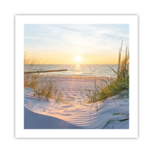 Affiche - Poster - Le bruit de la mer, le chant des oiseaux, une plage sauvage parmi les herbes… - 50x50 cm