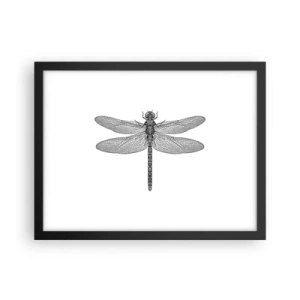 Affiche dans un cadre noir - Poster - Précision de la nature - 40x30 cm