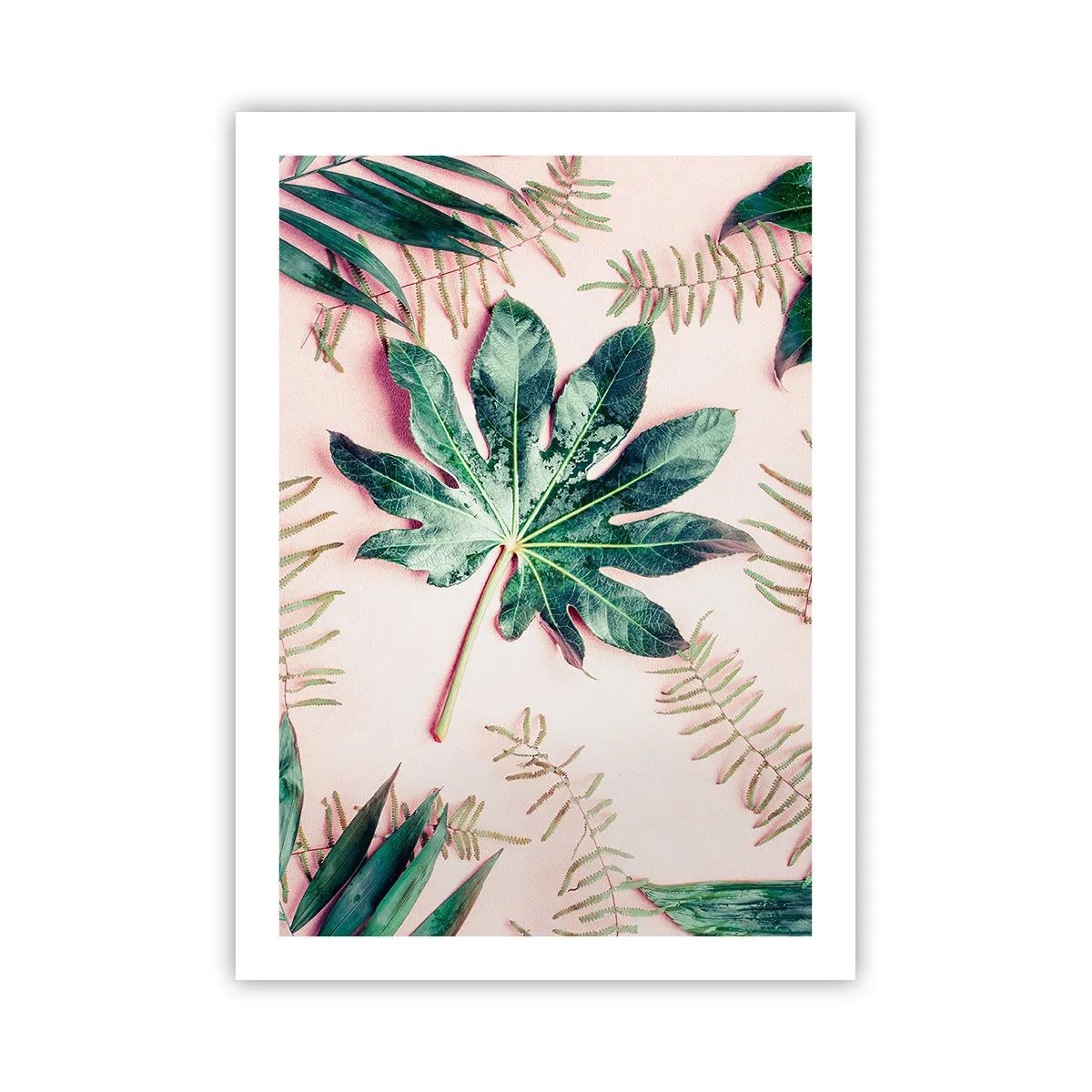 Affiche - Poster - Feuilles de différentes nuances de vert sur fond rose - 50x70cm - Étude de verdure sur fond rose - Décoration murale moderne pour le salon et la chambre ARTTOR