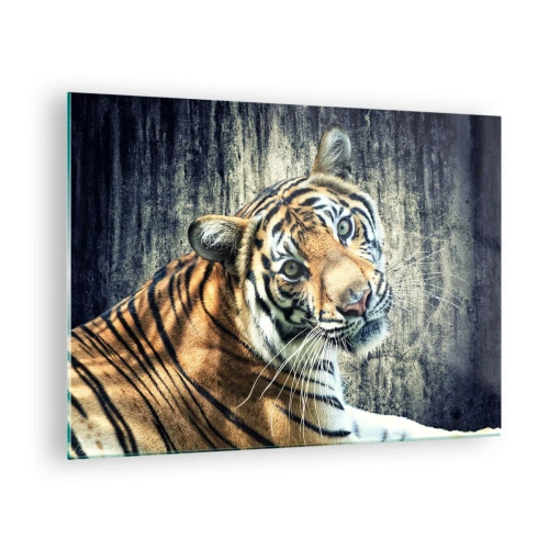 Impression sur verre - Image sur verre - Un tigre dans une pose naturelle contre un mur brut - 70x50cm - Portrait dans les flots de lumière - Décoration murale moderne pour le salon et la chambre ARTTOR