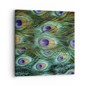 Impression sur toile - Image sur toile - Un regard de paon - 30x30 cm