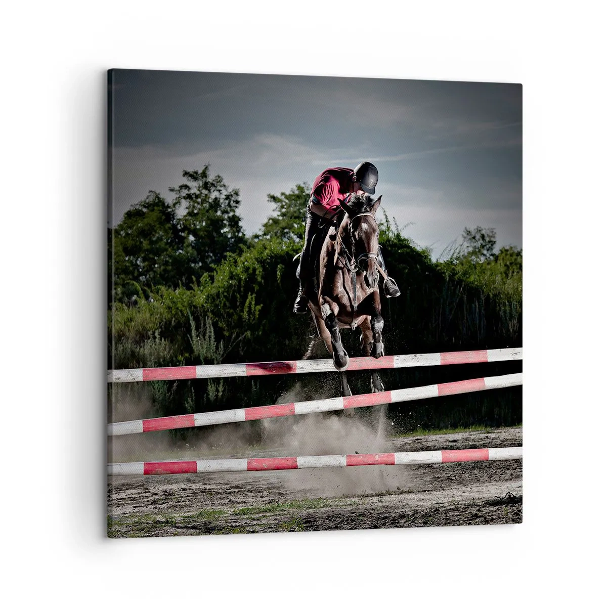 Impression sur toile - Image sur toile - Ensemble pour la victoire - 50x50 cm