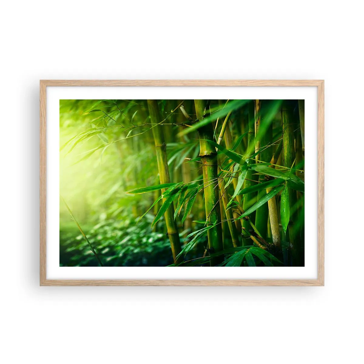 Affiche dans un chêne clair - Poster - Apprenez à connaître le vert lui-même - 70x50 cm