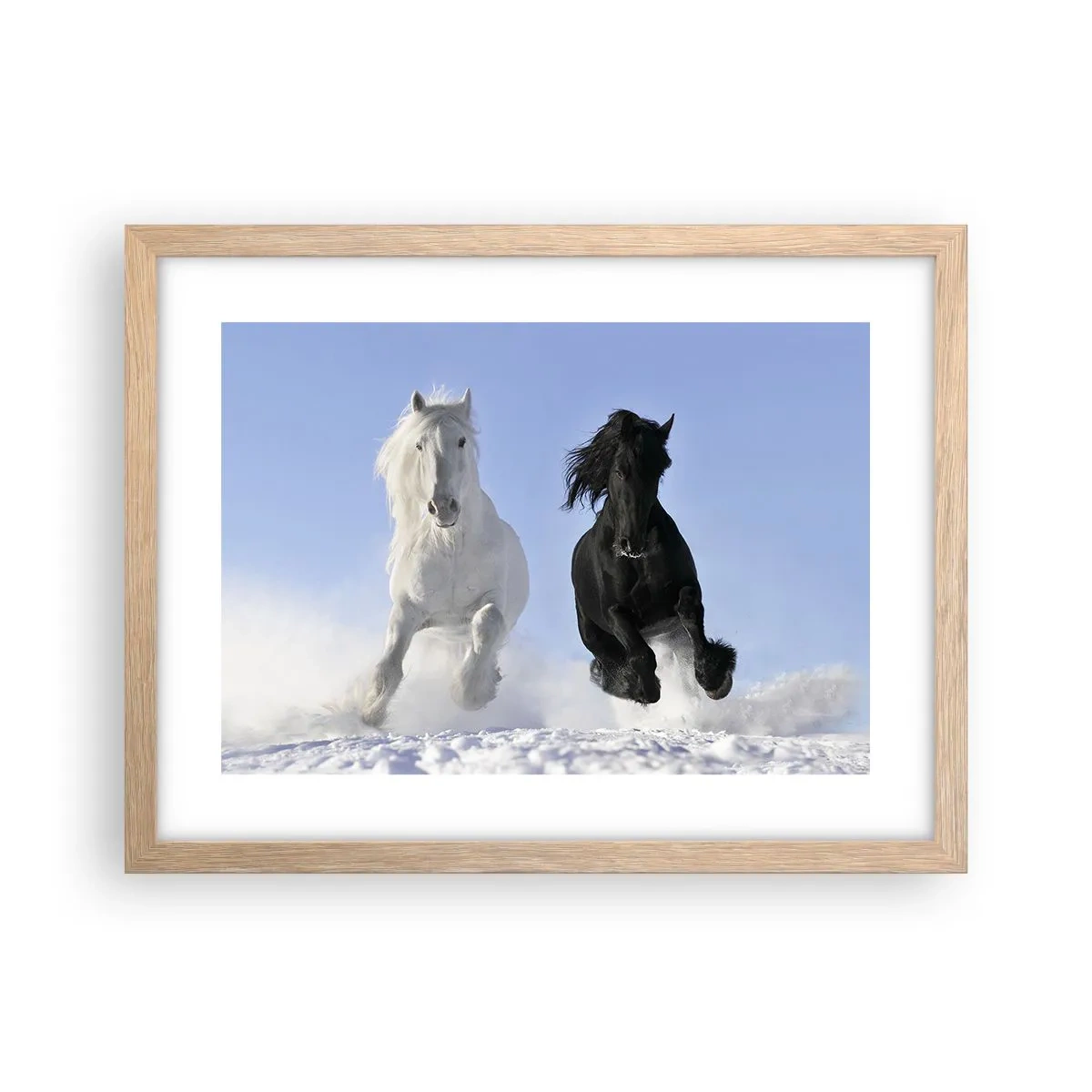 Affiche dans un chêne clair - Poster - Galop noir et blanc - 40x30 cm