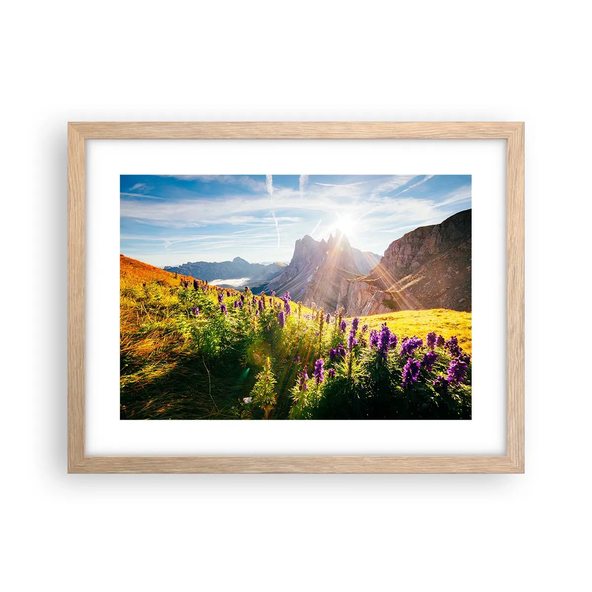 Affiche dans un chêne clair - Poster - La vie secrète des herbes - 40x30 cm