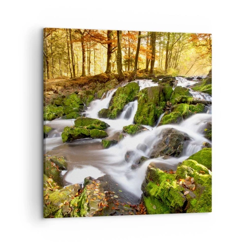 Impression sur toile - Image sur toile - Rapidement à travers la forêt d'automne - 50x50 cm