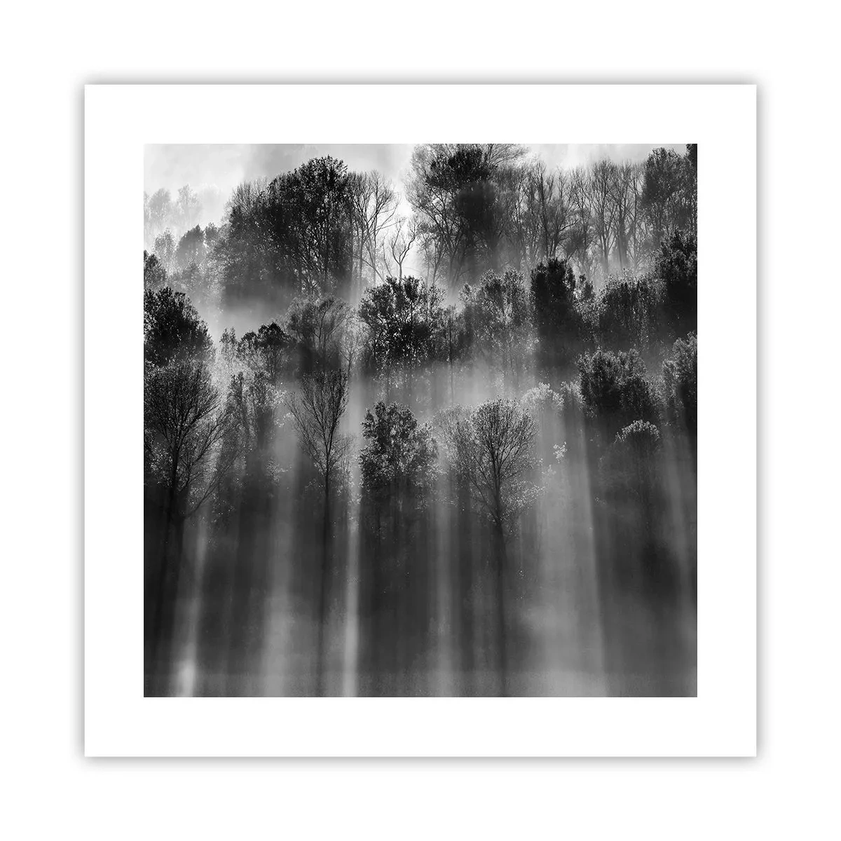 Affiche - Poster - Dans les flots de lumière - 40x40 cm