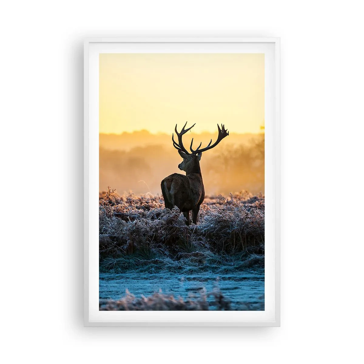 Affiche dans un cadre blanc - Poster - Couronné pour sa succession - 61x91 cm