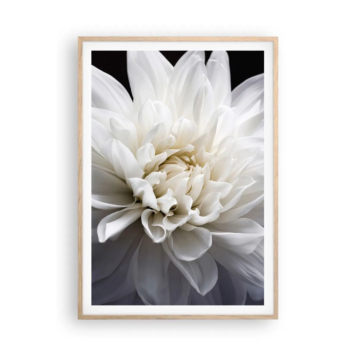 Affiche dans un chêne clair - Poster - Le matin de la jeune mariéé - 70x100 cm