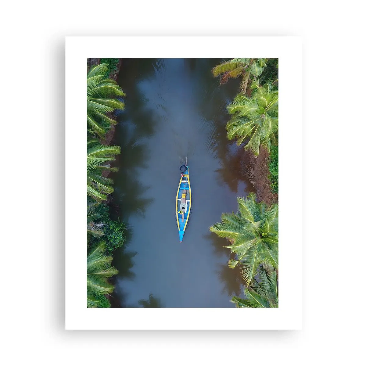 Affiche - Poster - Sur un sentier tropical - 40x50 cm