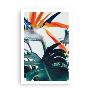 Affiche - Poster - Le buisson oiseaux - 61x91 cm