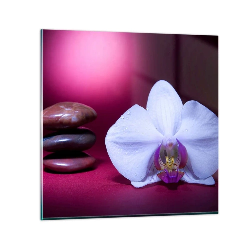 Impression sur verre - Image sur verre - Une étude de fraîcheur en violet - 60x60 cm