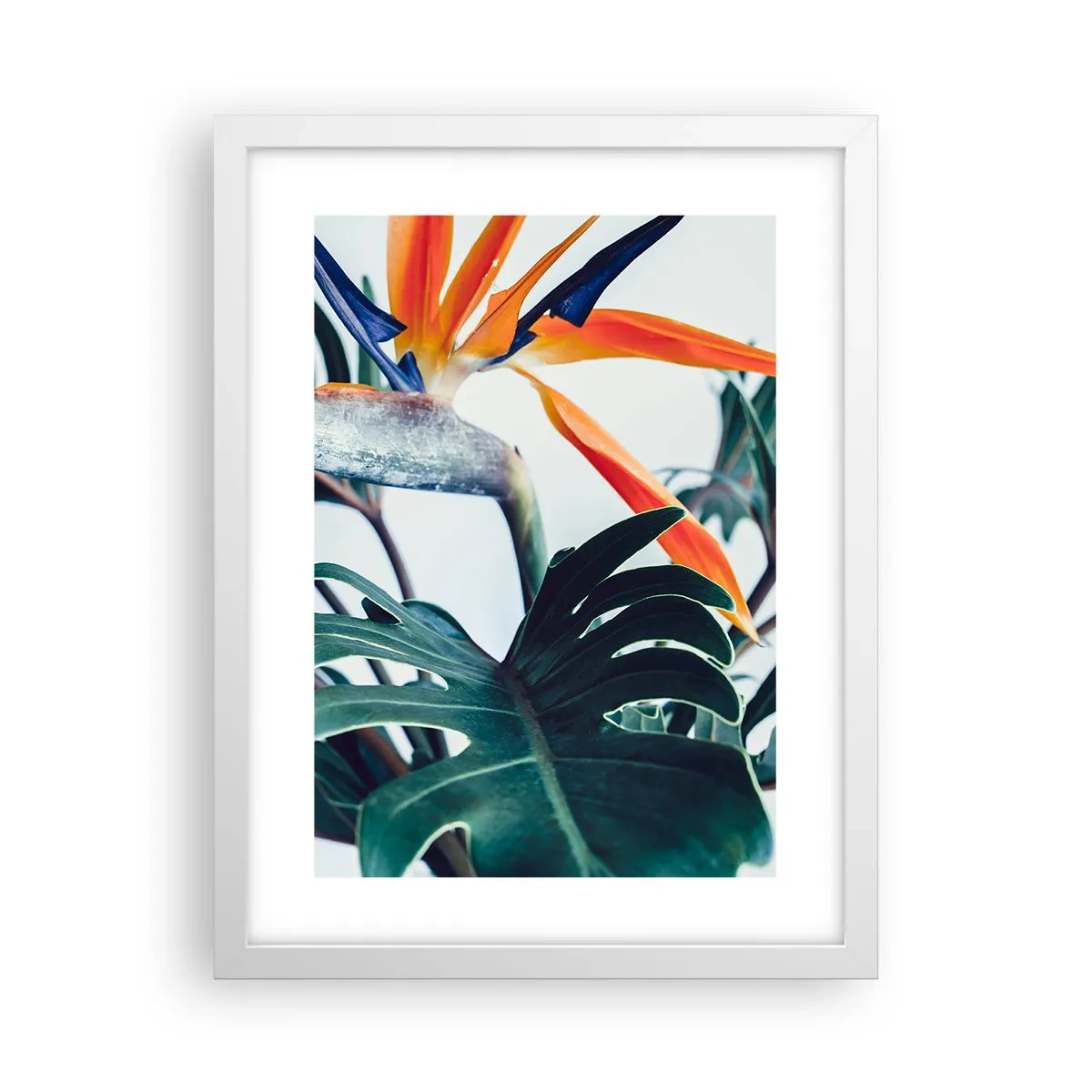 Affiche dans un cadre blanc - Poster - Le buisson oiseaux - 30x40 cm