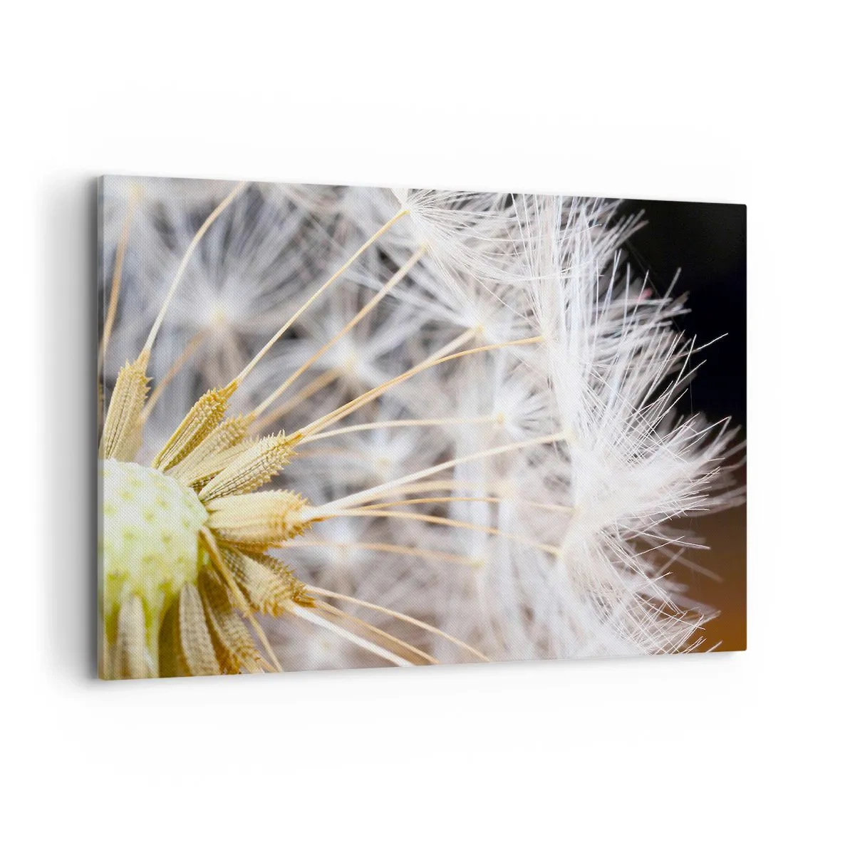 Impression sur toile - Image sur toile - Photographie macro d'un pissenlit aux graines délicates - 100x70cm - Juste avant le départ - Décoration murale moderne pour le salon et la chambre ARTTOR