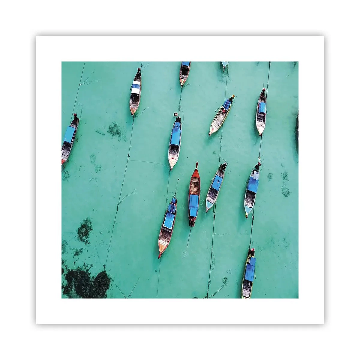 Affiche - Poster - Dans une attente jouyeuse - 40x40 cm