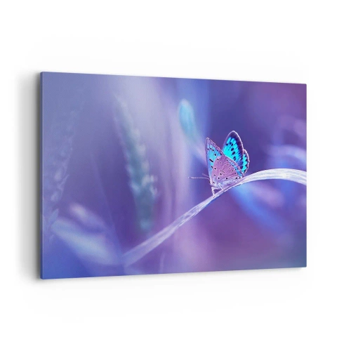 Impression sur toile - Image sur toile - Un délicat papillon bleu sur une tige dans une lumière violette - 120x80cm - Un joyau de la nature - Décoration murale moderne pour le salon et la chambre ARTTOR