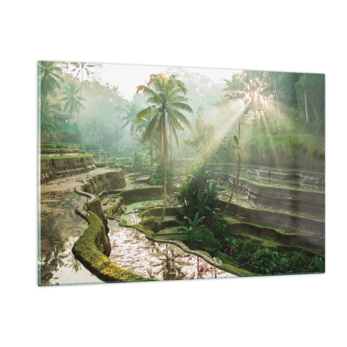 Impression sur verre - Image sur verre - Rizières tropicales avec palmiers dans la brume matinale - 120x80cm - Grandir au soleil - Décoration murale moderne pour le salon et la chambre ARTTOR