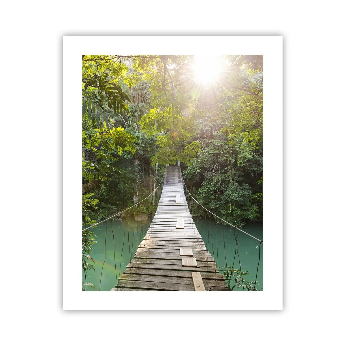 Affiche - Poster - De l'eau azur à la forêt azur - 40x50 cm