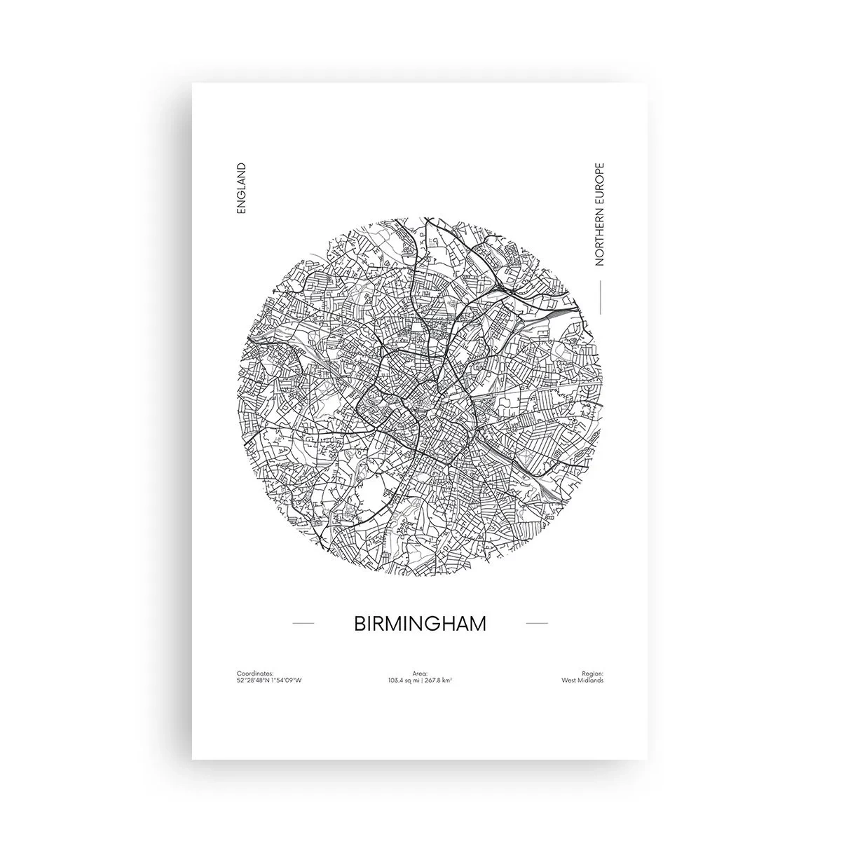 Affiche - Poster - Anatomie de Birmingham - 61x91 cm