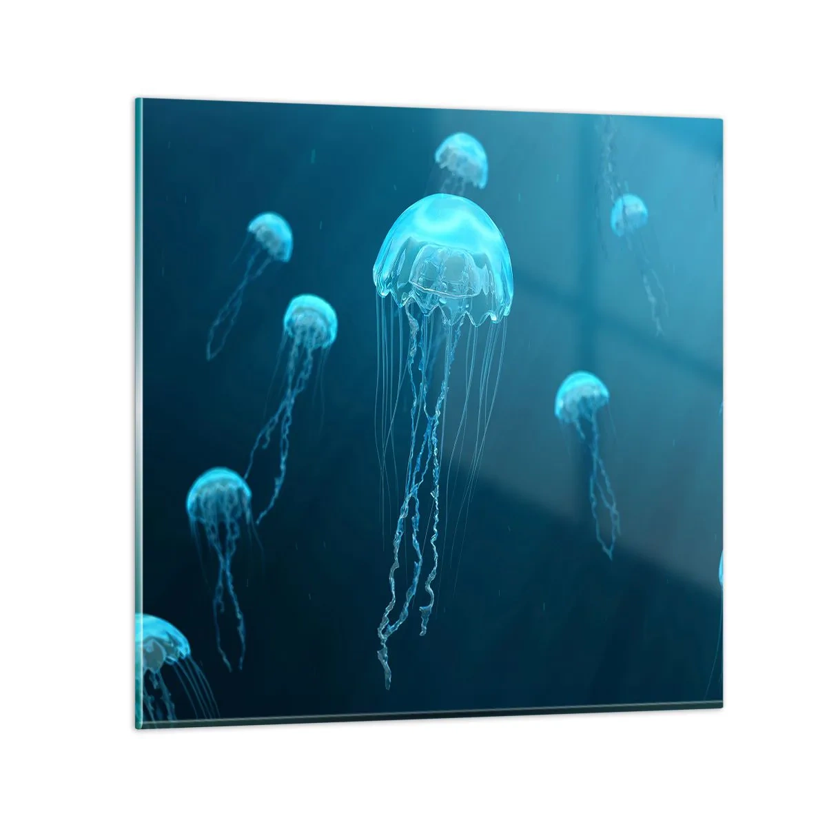 Impression sur verre - Image sur verre - Danse océanique - 40x40 cm