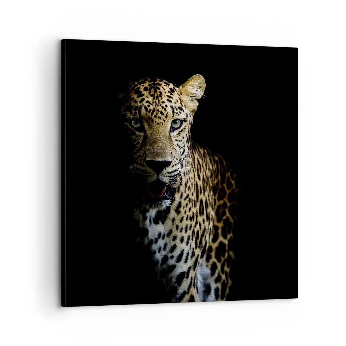 Impression sur toile - Image sur toile - Beauté sombre - 60x60 cm