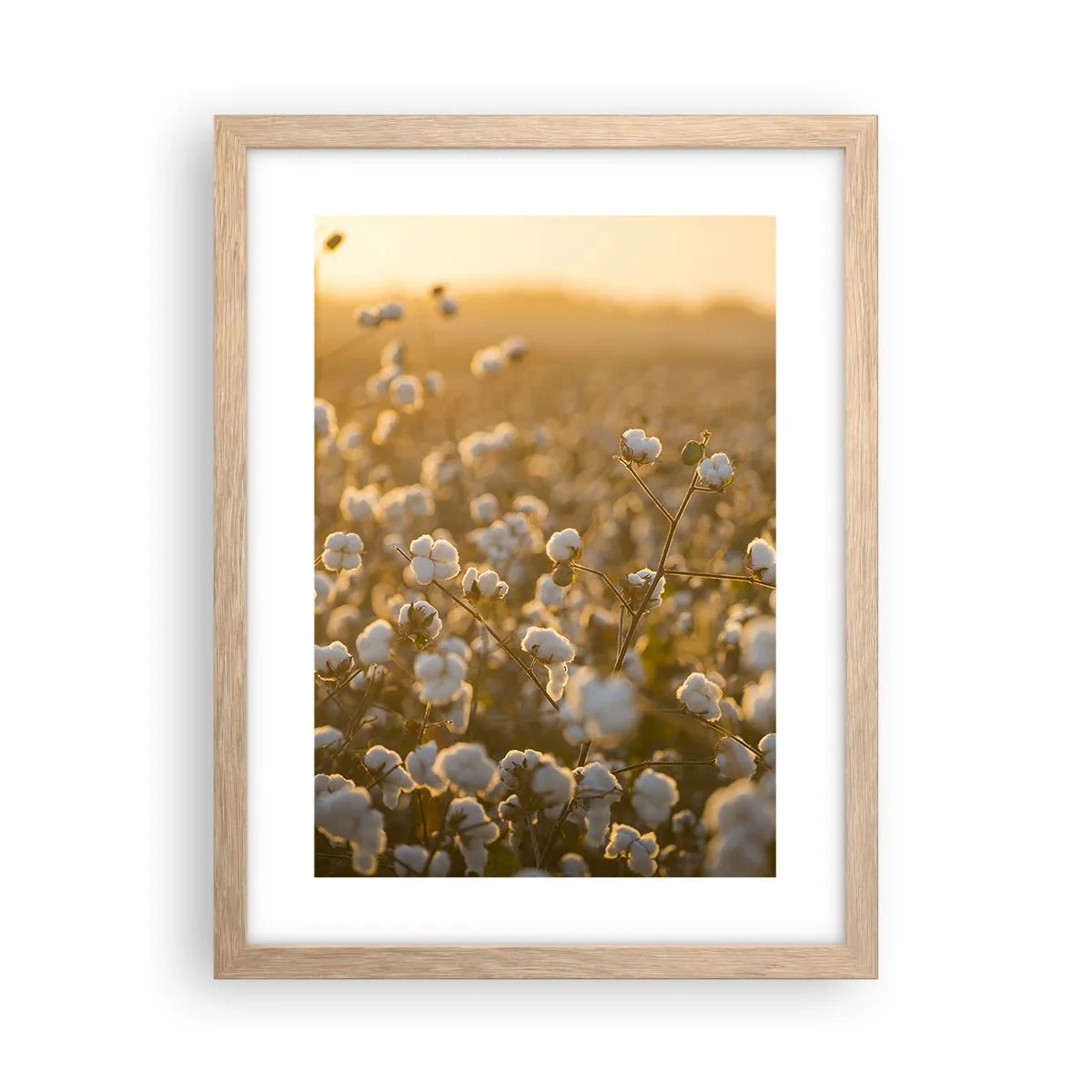 Affiche dans un chêne clair - Poster - Champ moelleux - 30x40 cm