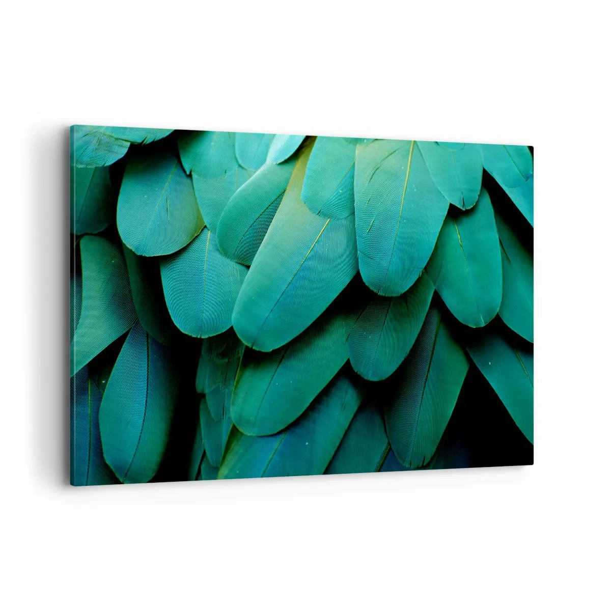 Impression sur toile - Image sur toile - Détail de plumes dans des tons de vert - 100x70cm - Perfection de la nature du perroquet - Décoration murale moderne pour le salon et la chambre ARTTOR