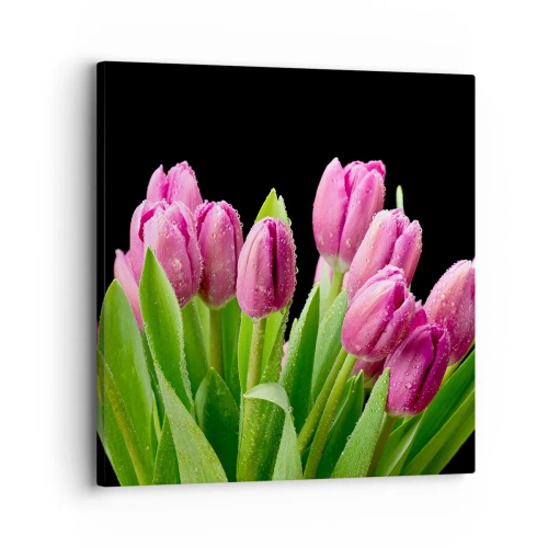 Impression sur toile - Image sur toile - Joie printanière des lilas - 30x30 cm