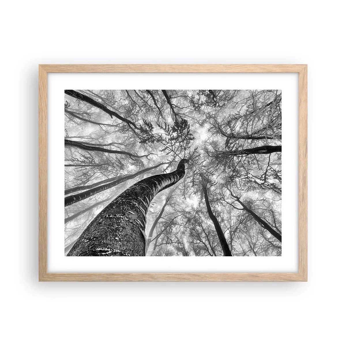 Affiche dans un chêne clair - Poster - Course vers la lumière - 50x40 cm