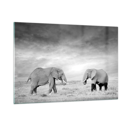 Impression sur verre - Image sur verre - Deux éléphants dans la savane dans des tons de noir et blanc - 120x80cm - Le gris est beau - Décoration murale moderne pour le salon et la chambre ARTTOR